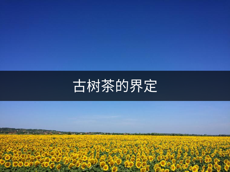 古樹(shù)茶的界定 古樹(shù)茶的界定