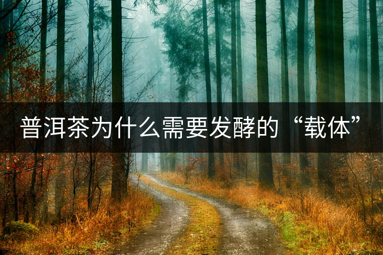 普洱茶為什么需要發(fā)酵的“載體”？