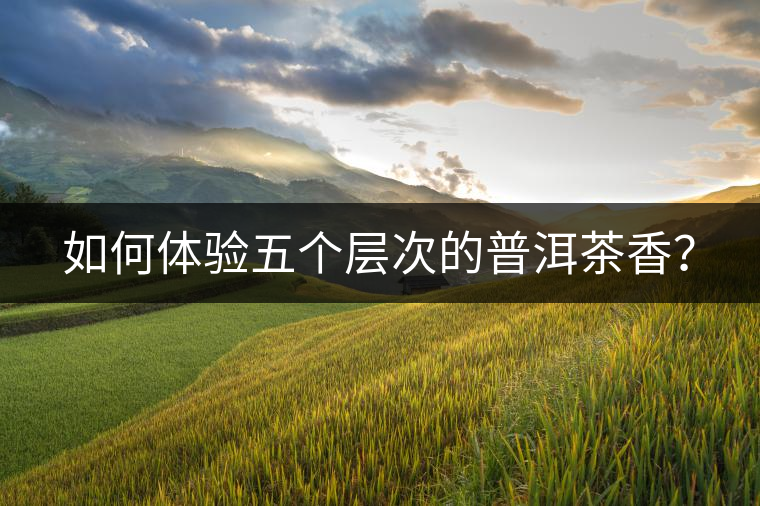 如何體驗(yàn)五個(gè)層次的普洱茶香？