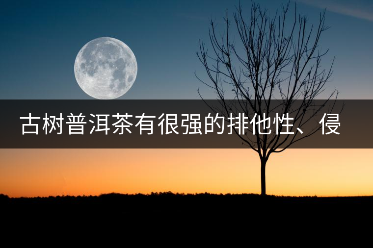 古樹普洱茶有很強(qiáng)的排他性、侵略性、吸納性