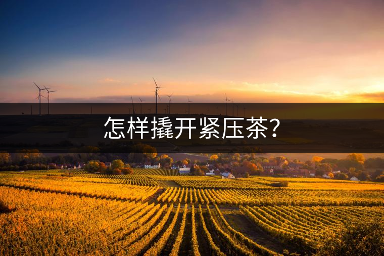 怎樣撬開緊壓茶？