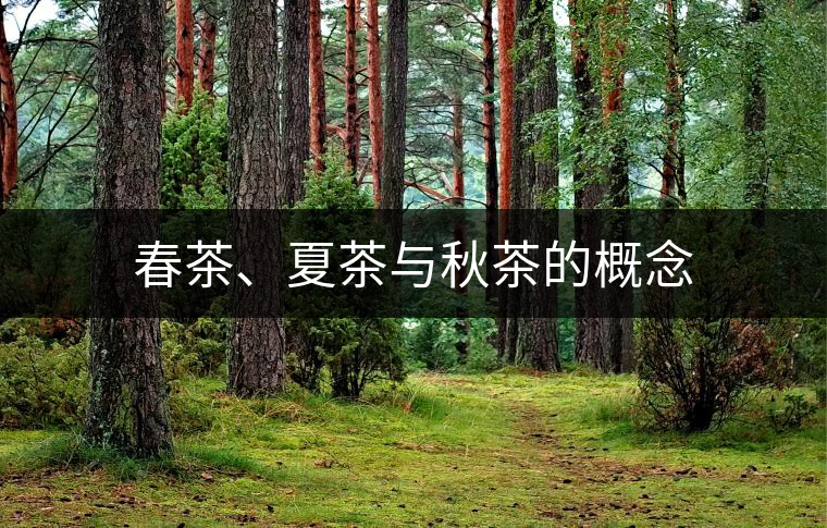 春茶、夏茶與秋茶的概念