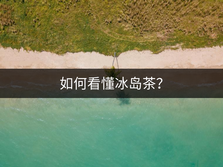 如何看懂冰島茶？