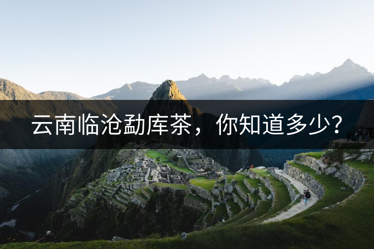 云南臨滄勐庫茶，你知道多少？