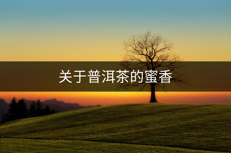 關(guān)于普洱茶的蜜香 關(guān)于普洱茶的蜜香