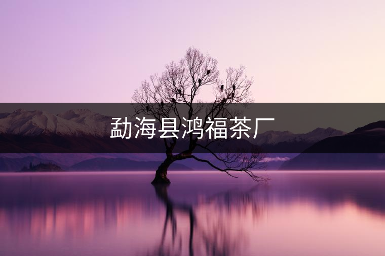 勐?？h鴻福茶廠