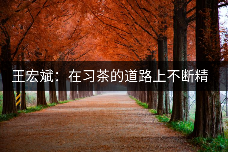 王宏斌：在習(xí)茶的道路上不斷精進(jìn)