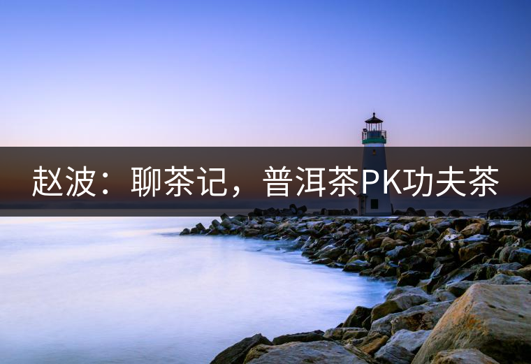 趙波：聊茶記，普洱茶PK功夫茶