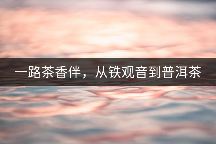 一路茶香伴，從鐵觀音到普洱茶