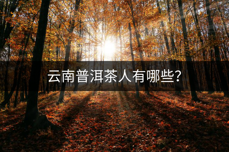 云南普洱茶人有哪些？