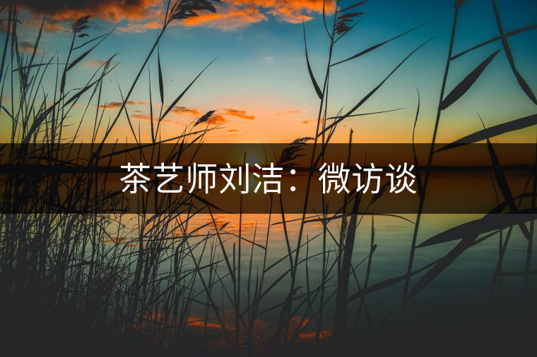 茶藝師劉潔:微訪談 茶藝師劉潔:微訪談