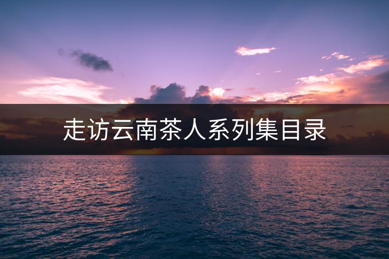 走訪云南茶人系列集目錄