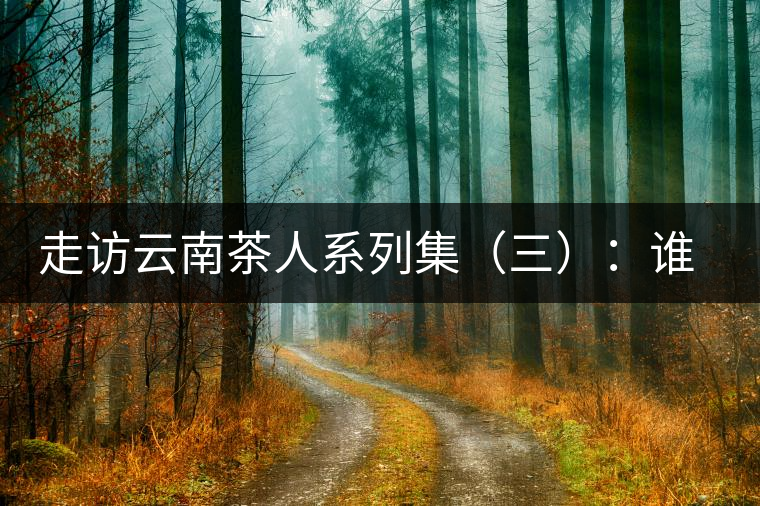 走訪云南茶人系列集（三）：誰說普洱不產(chǎn)茶？——張順高