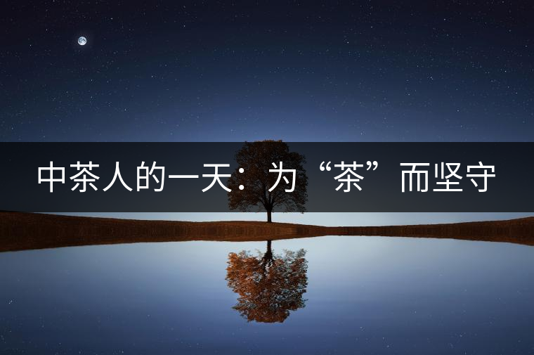 中茶人的一天:為“茶”而堅守 中茶人的一天:為“茶”而堅守