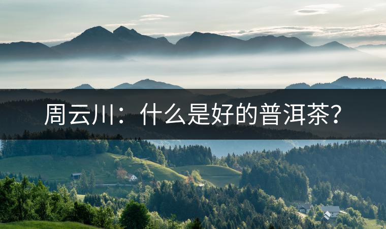 周云川：什么是好的普洱茶？