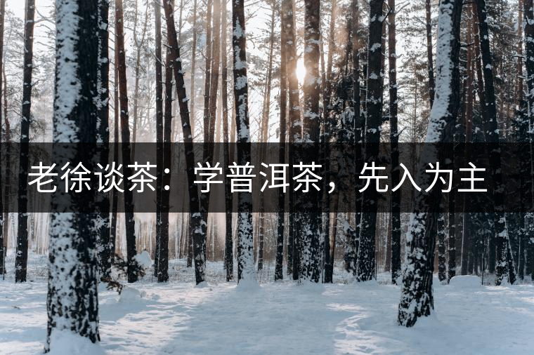 老徐談茶：學(xué)普洱茶，先入為主易被打臉，還得實(shí)踐出真知！