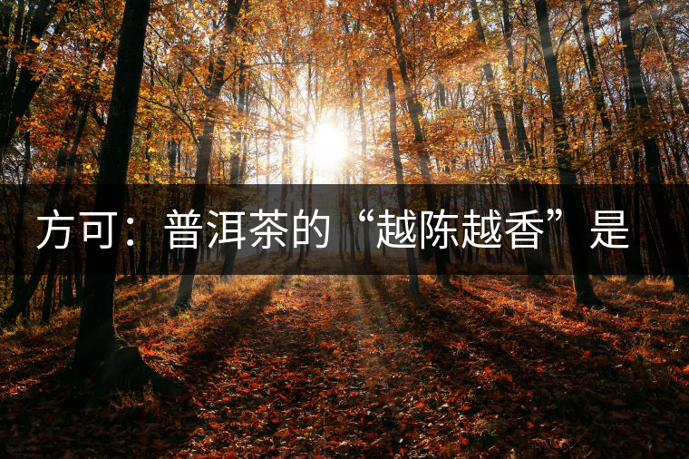 方可：普洱茶的“越陳越香”是有條件、有技術(shù)的