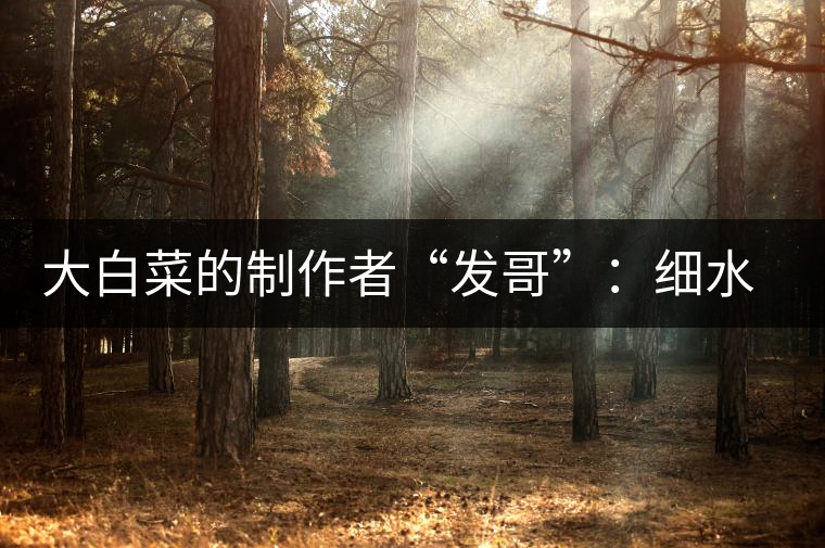 大白菜的制作者“發(fā)哥”：細(xì)水長(zhǎng)流，做茶“急不得”