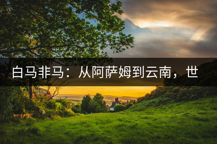 白馬非馬：從阿薩姆到云南，世界茶樹起源爭論的誤區(qū)