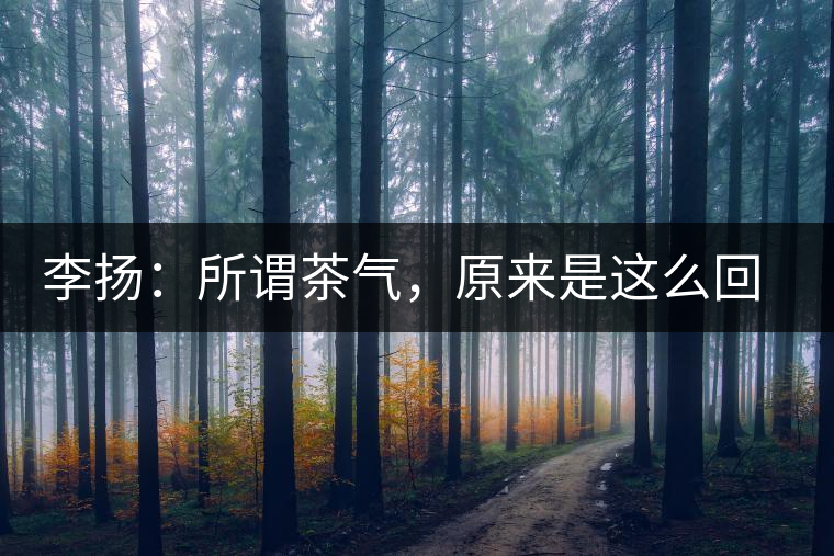 李揚(yáng)：所謂茶氣，原來(lái)是這么回事