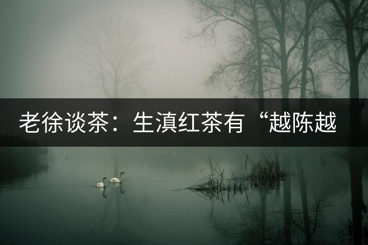 老徐談茶：生滇紅茶有“越陳越香”的特點嗎？