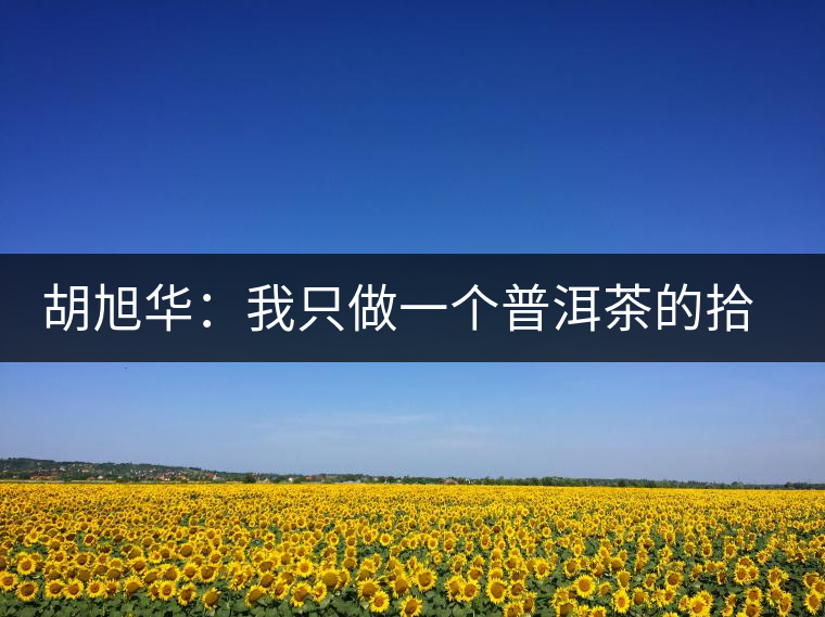 胡旭華:我只做一個(gè)普洱茶的拾荒者 胡旭華:我只做一個(gè)普洱茶的拾荒者