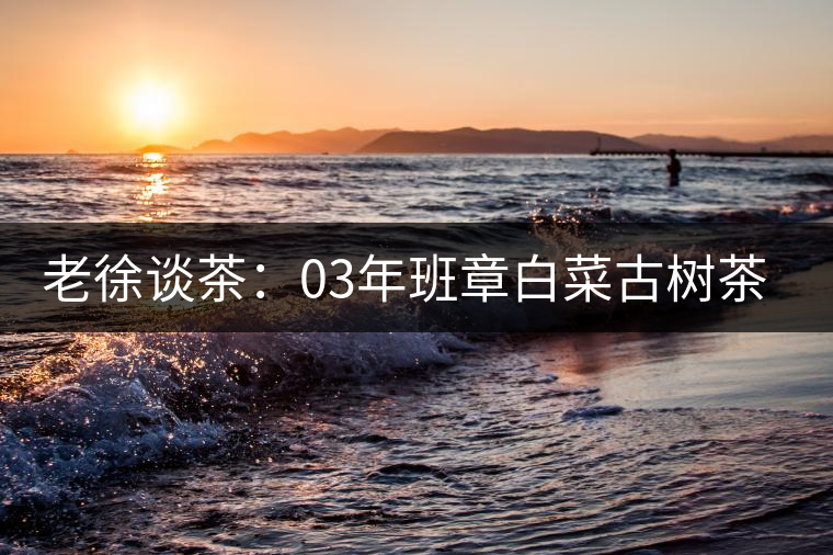 老徐談茶：03年班章白菜古樹茶品鑒報(bào)告