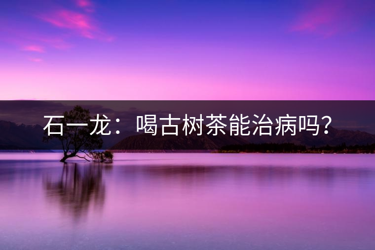 石一龍：喝古樹茶能治病嗎？