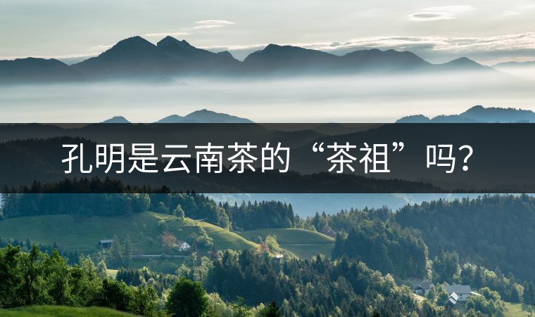 孔明是云南茶的“茶祖”嗎？