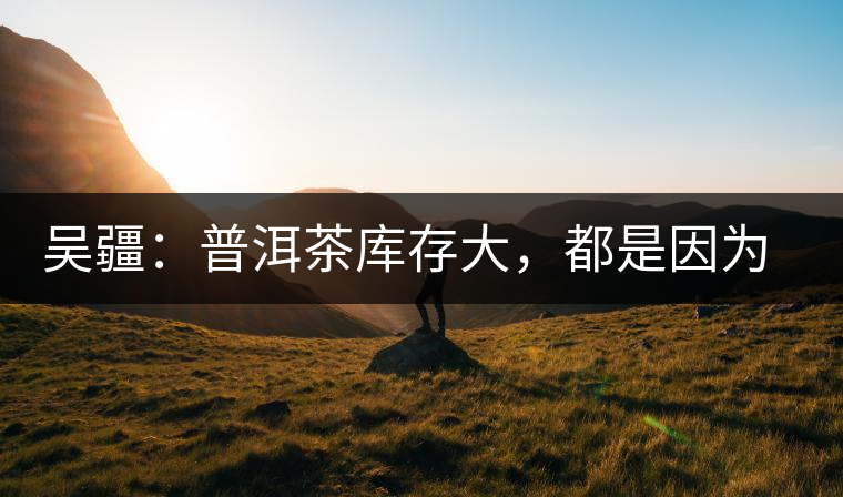 吳疆：普洱茶庫存大，都是因為“越陳越香”