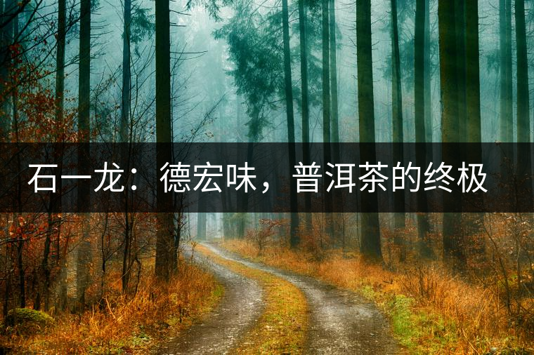 石一龍：德宏味，普洱茶的終極意境