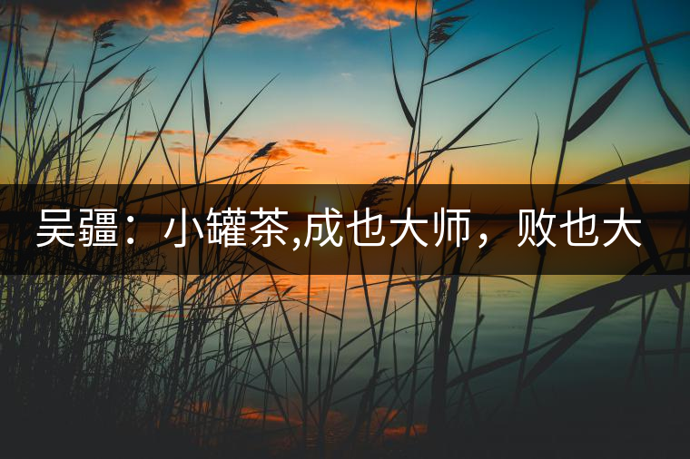 吳疆：小罐茶,成也大師，敗也大師