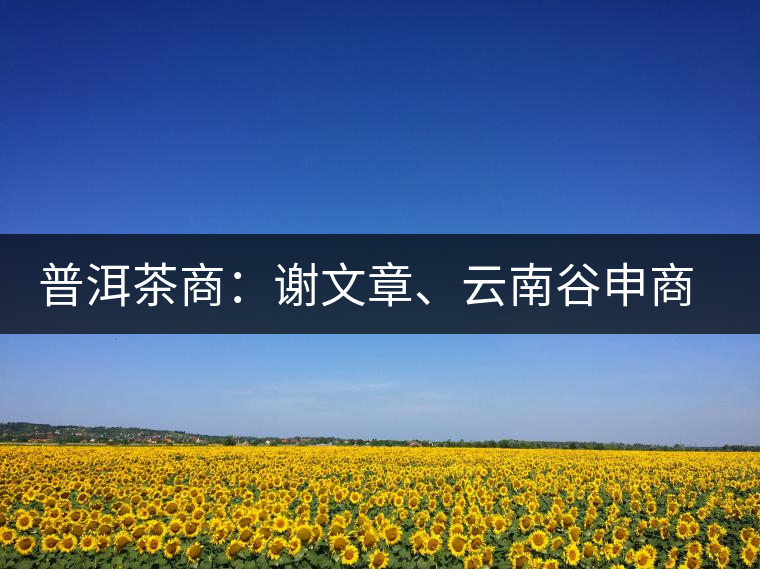 普洱茶商：謝文章、云南谷申商貿(mào)有限公司總經(jīng)理