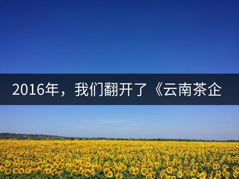 2016年，我們翻開了《云南茶企發(fā)展白皮書》