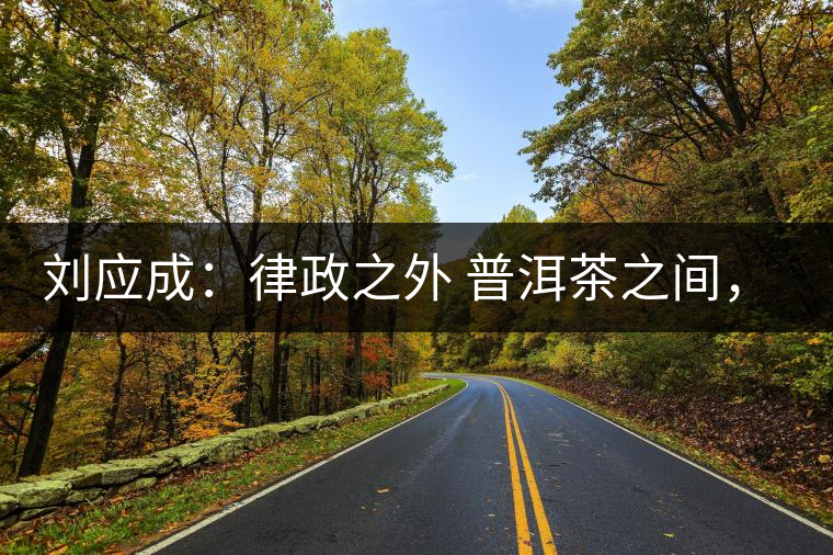 劉應(yīng)成：律政之外 普洱茶之間，在峨毛茶上的三個(gè)首創(chuàng)