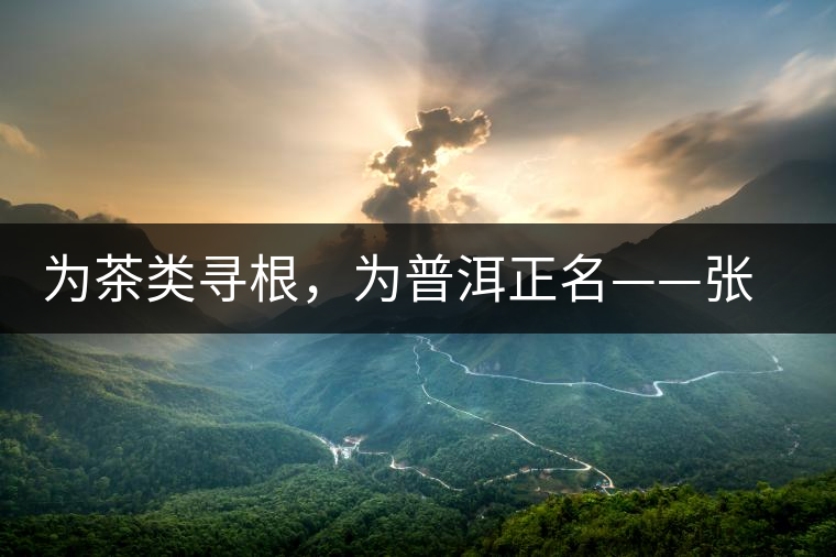 為茶類尋根，為普洱正名——張宏達(dá)的普洱茶研究