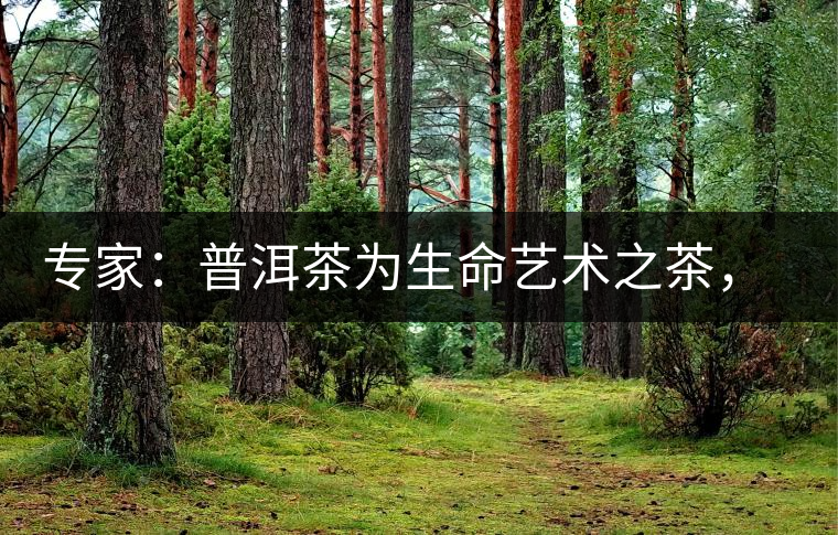 專家：普洱茶為生命藝術(shù)之茶，現(xiàn)低價(jià)時(shí)期可投資收茶