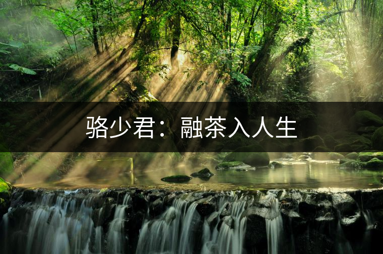 駱少君：融茶入人生
