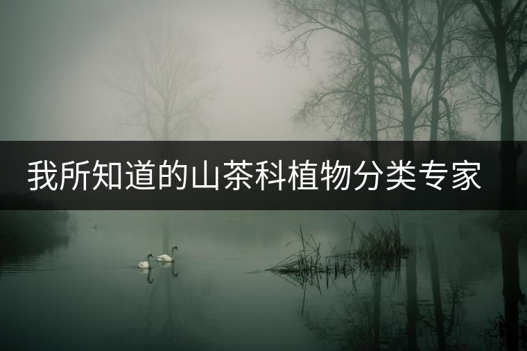 我所知道的山茶科植物分類專家:張宏達先生 我所知道的山茶科植物分類專家:張宏達先生