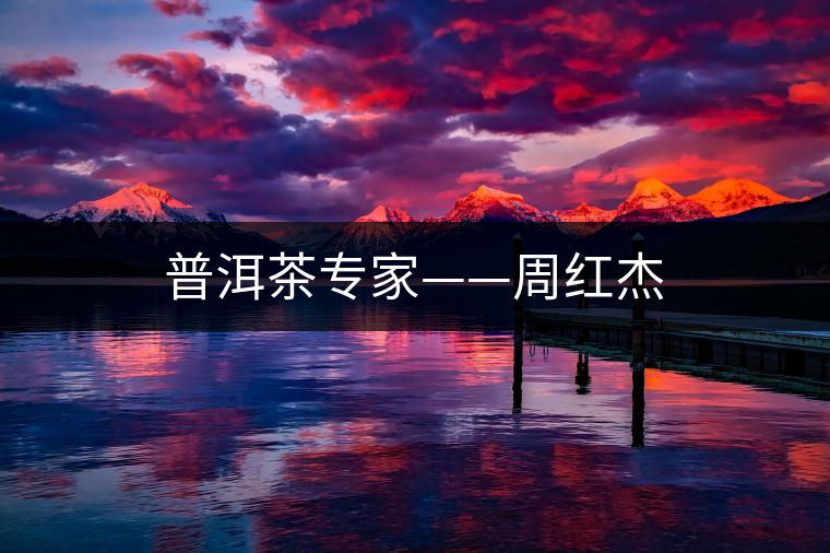 普洱茶專家——周紅杰 普洱茶專家——周紅杰