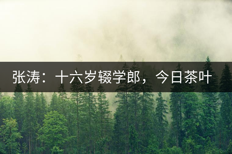 張濤：十六歲輟學(xué)郎，今日茶葉中堅(jiān)