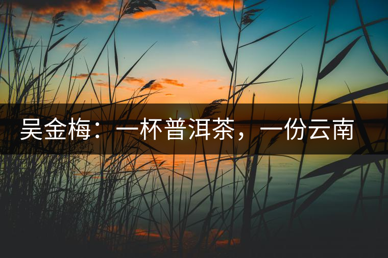 吳金梅：一杯普洱茶，一份云南情