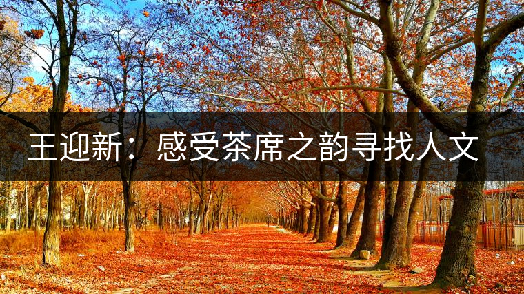 王迎新：感受茶席之韻尋找人文情懷