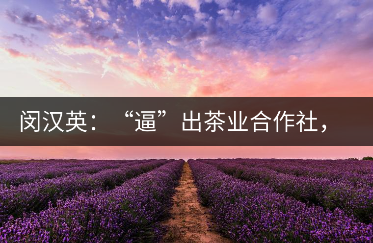 閔漢英：“逼”出茶業(yè)合作社，帶領(lǐng)村民走上致富路