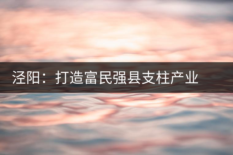 涇陽(yáng)：打造富民強(qiáng)縣支柱產(chǎn)業(yè)  ——訪陜西省涇陽(yáng)縣副縣長(zhǎng)謝保衛(wèi)