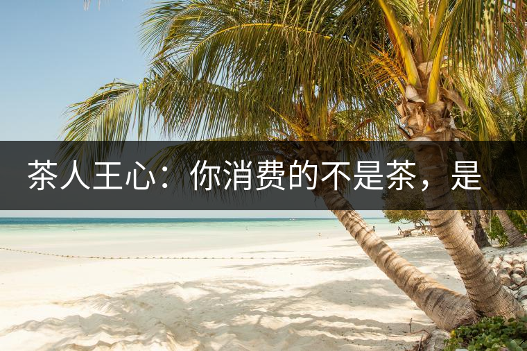 茶人王心：你消費(fèi)的不是茶，是我