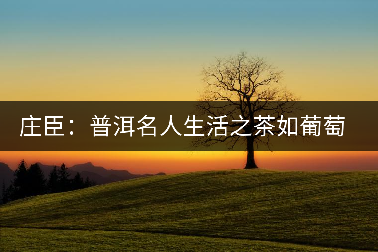 莊臣：普洱名人生活之茶如葡萄酒