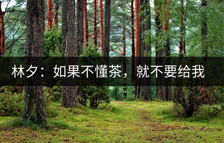 林夕：如果不懂茶，就不要給我送茶