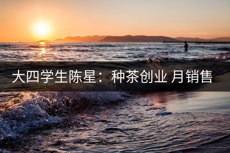 大四學(xué)生陳星：種茶創(chuàng)業(yè) 月銷售額超五十萬