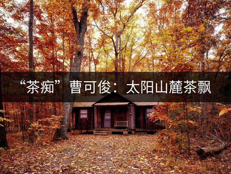 “茶癡”曹可俊：太陽(yáng)山麓茶飄香，清明時(shí)節(jié)采茶忙